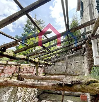 Foto annuncio 52