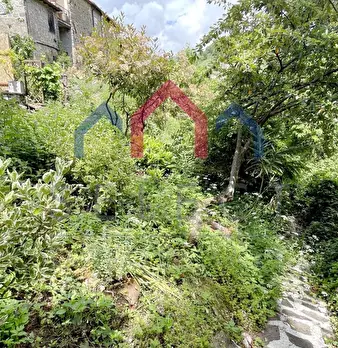 Foto annuncio 47