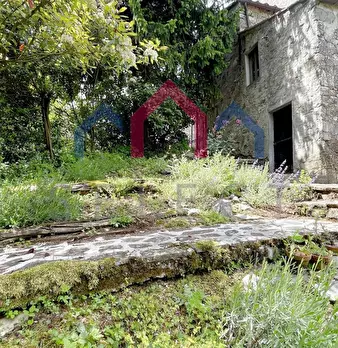 Foto annuncio 38