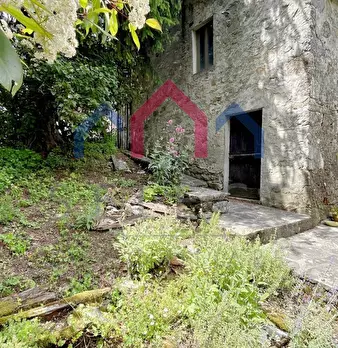 Foto annuncio 44