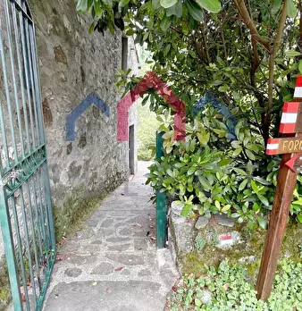 Foto annuncio 36