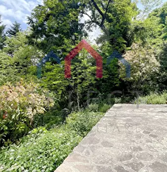Foto annuncio 46