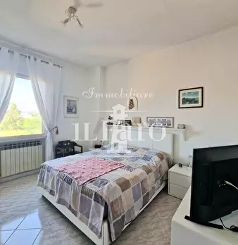 Foto annuncio 36