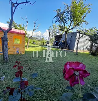 Foto annuncio 19