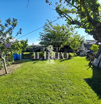 Foto annuncio 7