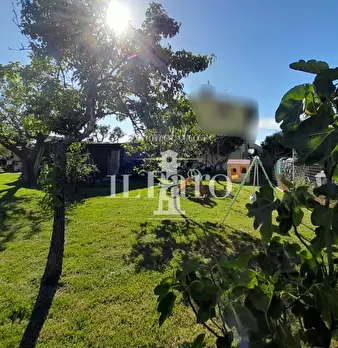 Foto annuncio 12