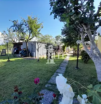 Foto annuncio 3
