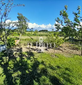 Foto annuncio 20