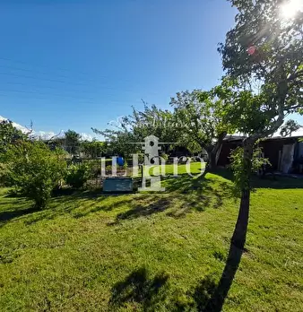 Foto annuncio 17