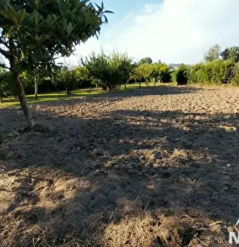 Foto annuncio 7