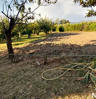 Foto annuncio 6