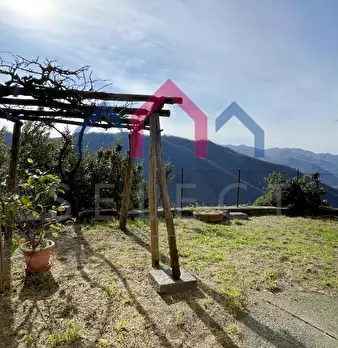 Foto annuncio 26