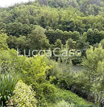 Foto annuncio 31