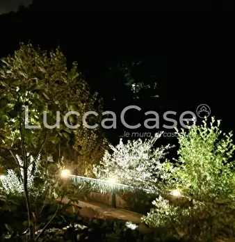 Foto annuncio 36