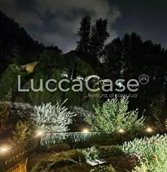 Foto annuncio 37