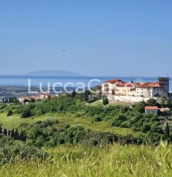 Foto annuncio 1