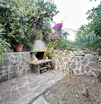 Foto annuncio 14