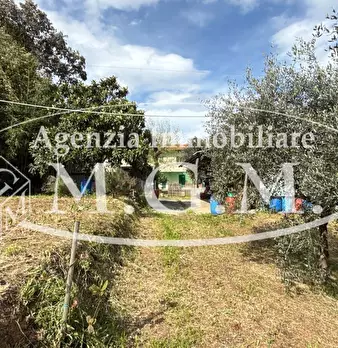 Foto annuncio 46