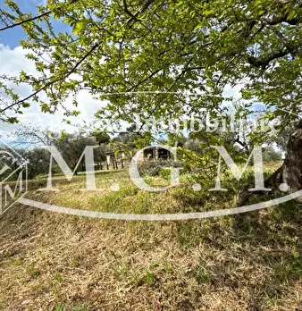 Foto annuncio 47