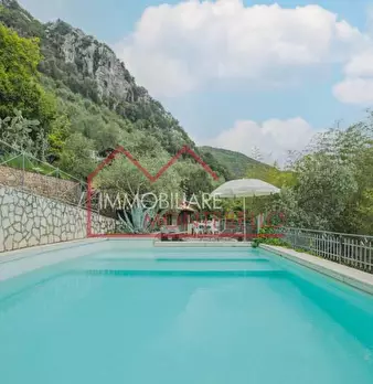 Foto annuncio 12