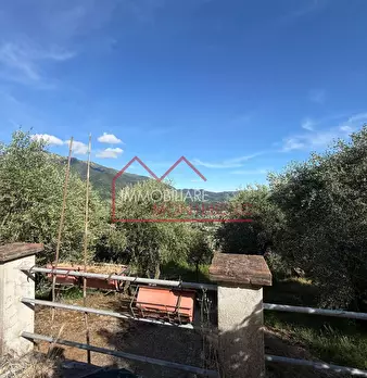 Foto annuncio 18