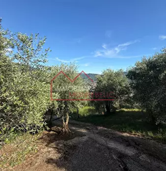 Foto annuncio 17