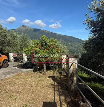 Foto annuncio 20