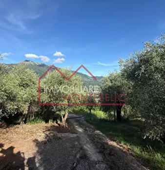 Foto annuncio 19