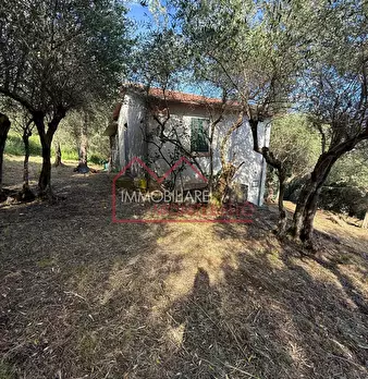 Foto annuncio 22