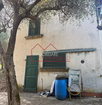 Foto annuncio 1