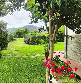 Foto annuncio 8