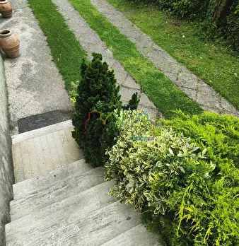 Foto annuncio 24