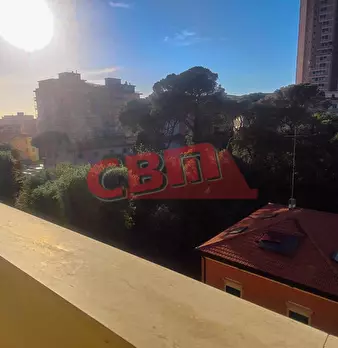 Foto annuncio 18