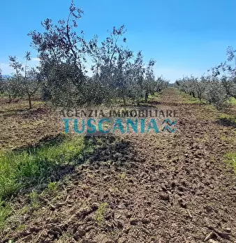 Foto annuncio 26