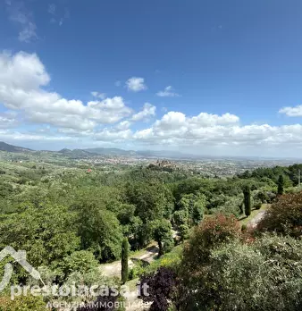 Foto annuncio 43