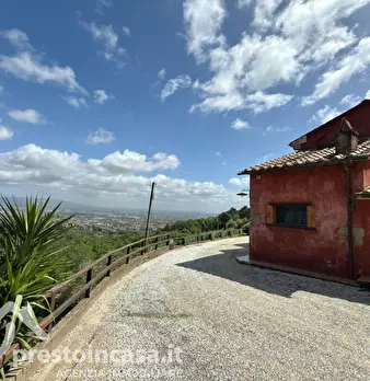 Foto annuncio 49