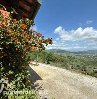 Foto annuncio 29