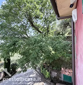Foto annuncio 62