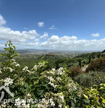 Foto annuncio 42