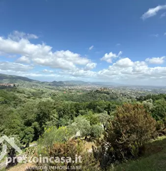 Foto annuncio 36