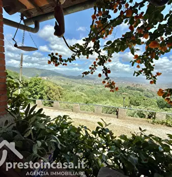Foto annuncio 32