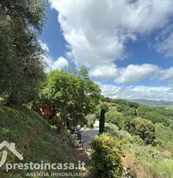 Foto annuncio 41