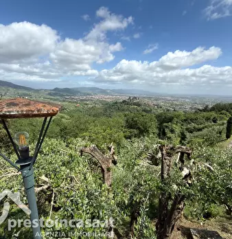 Foto annuncio 50