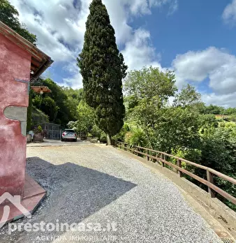 Foto annuncio 47