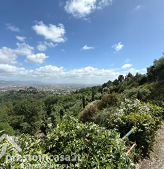 Foto annuncio 37