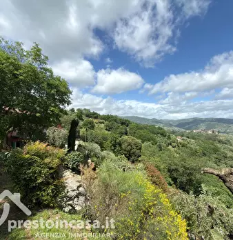 Foto annuncio 40