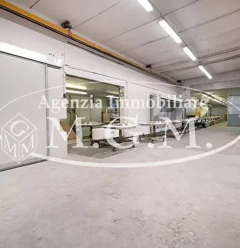 Foto annuncio 19