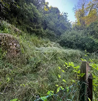 Foto annuncio 17