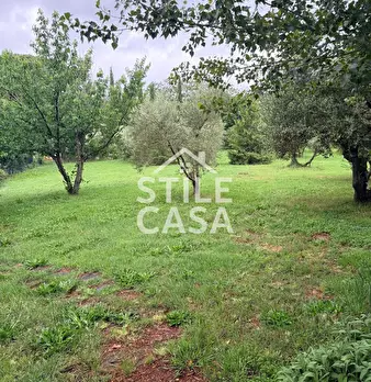Foto annuncio 48