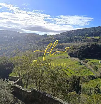 Foto annuncio 13